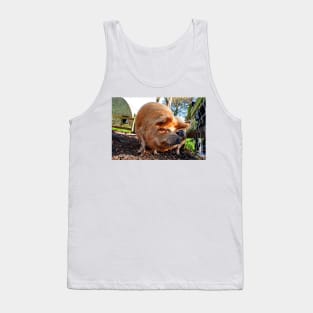 New Zealand Kunekune Pig Tank Top